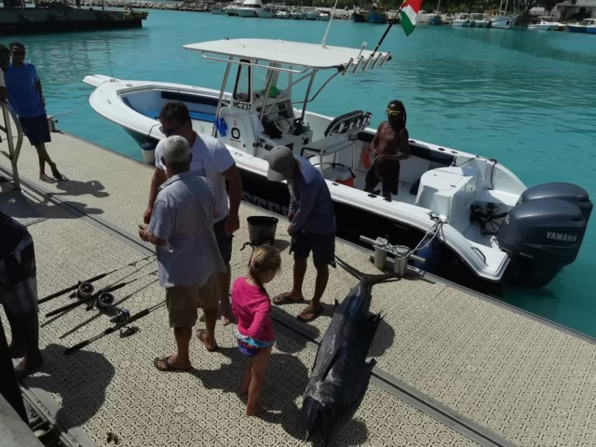 Big game fishing — sailfish landed at the La Digue dock with the Master boat